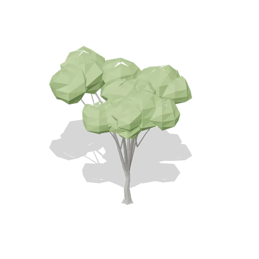 Mature field maple (Temperate Forest Ecology)