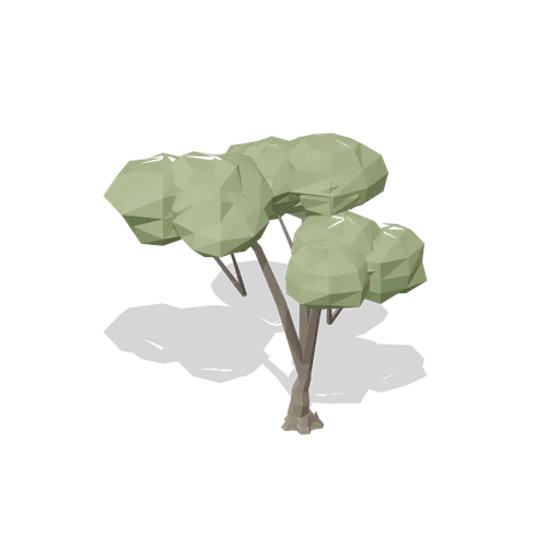 Mature sweet chestnut (Temperate Forest Ecology)