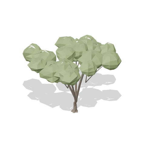 Gnarled crab apple (Temperate Forest Ecology)
