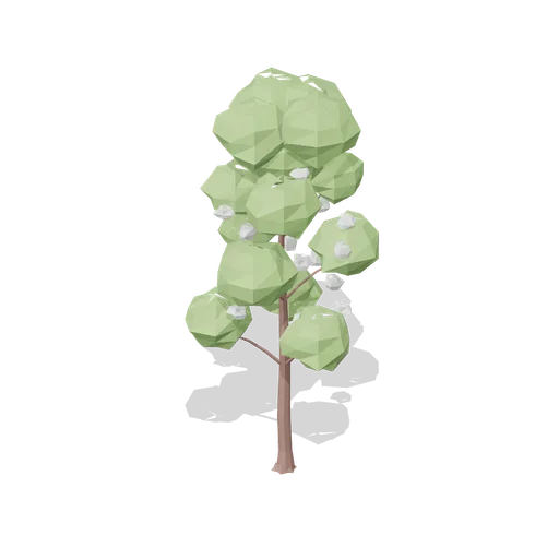 Wild cherry in blossom (Temperate Forest Ecology)