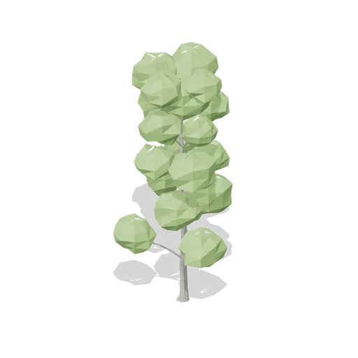 Young beech (Temperate Forest Ecology)