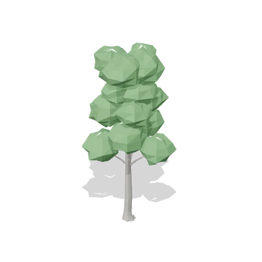 Mature common beech (Temperate Forest Ecology)