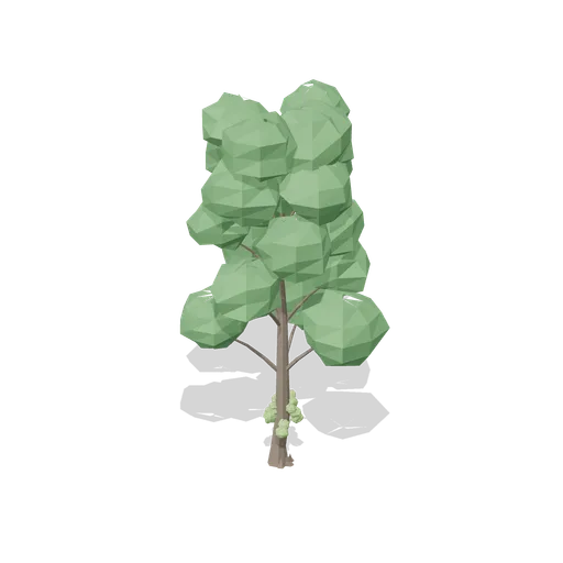 Small-leaved lime with basal shoots (Temperate Forest Ecology)