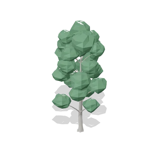 Mature hornbeam (Temperate Forest Ecology)