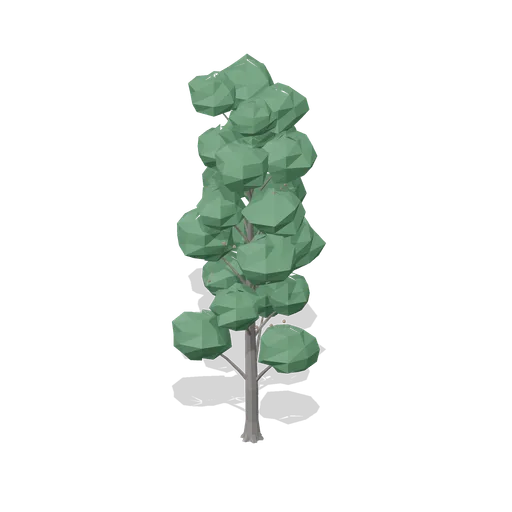 Mature common alder (Temperate Forest Ecology)