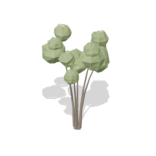 Goat willow shrub tree (Temperate Forest Ecology)