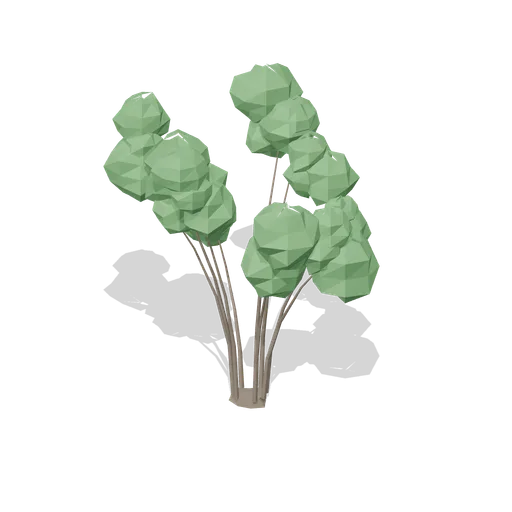 Hazel coppice stool (Temperate Forest Ecology)