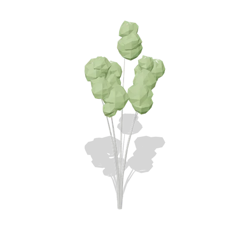 Aspen clone group (Temperate Forest Ecology)