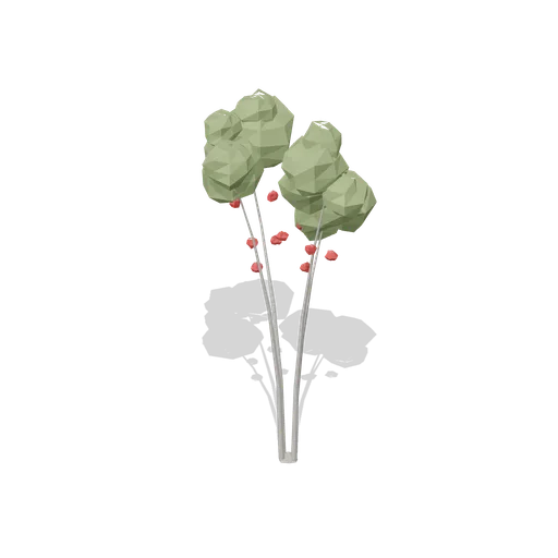 Multi-stem rowan with berries (Temperate Forest Ecology)
