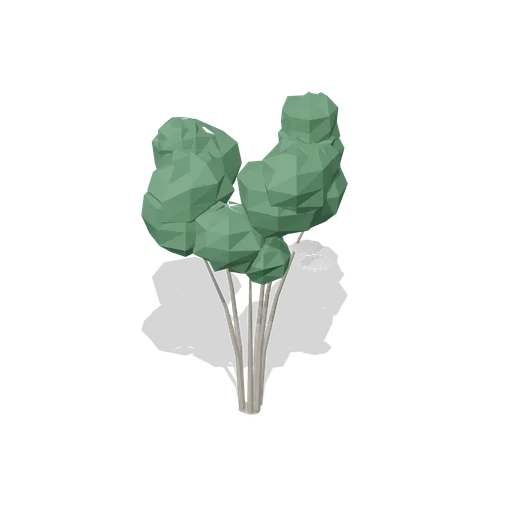 Elder shrub in flower (Temperate Forest Ecology)