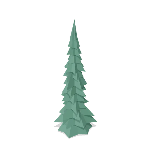 Mature Norway spruce (Temperate Forest Ecology)