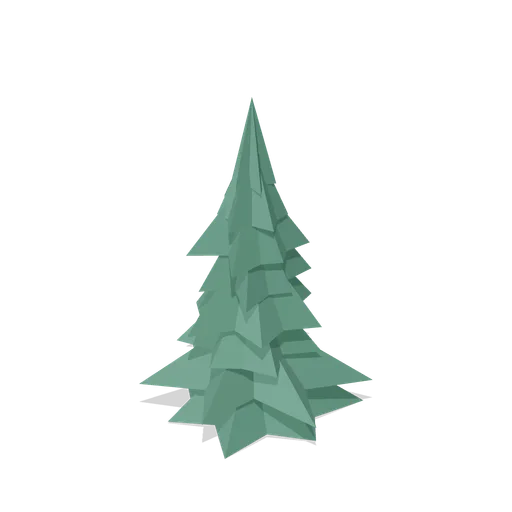 Young Norway spruce (Temperate Forest Ecology)