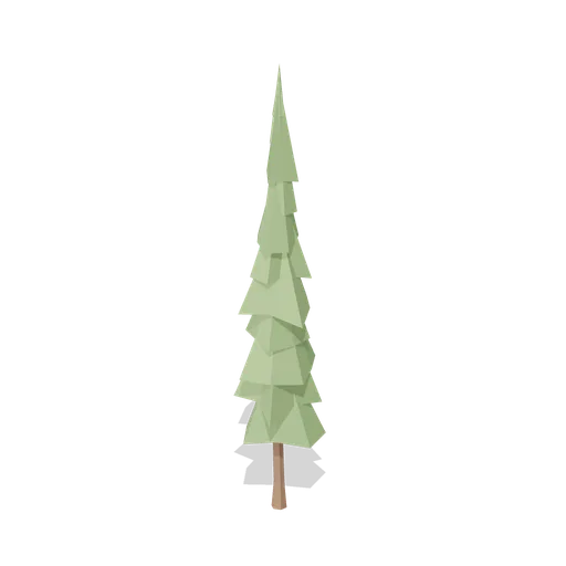 Mature European larch (Temperate Forest Ecology)