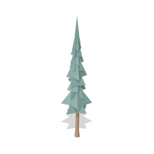 Mature Douglas fir (Temperate Forest Ecology)