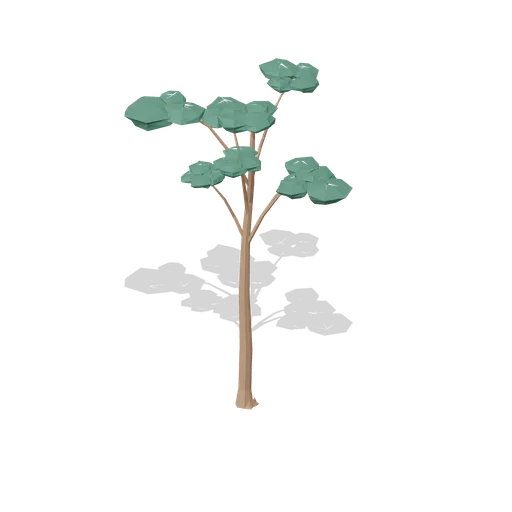 Mature Scots pine (Temperate Forest Ecology)