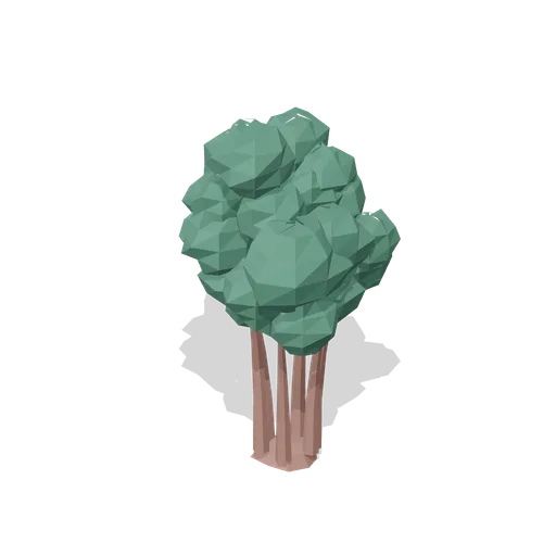 Ancient fluted yew (Temperate Forest Ecology)