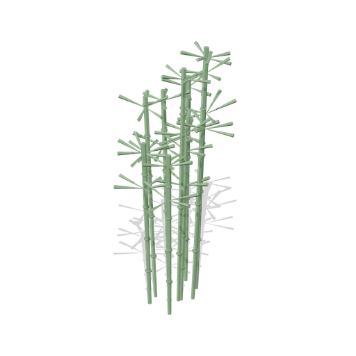 Bamboo Clump (Korean Hanok Village and Street)