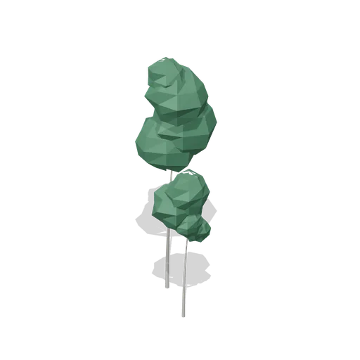 Holly sapling clump (Temperate Forest Ecology)