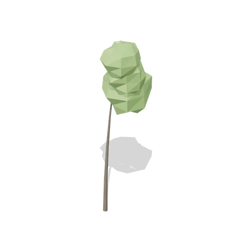 Oak sapling (Temperate Forest Ecology)