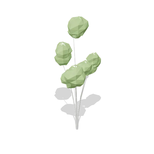 Birch sapling group (Temperate Forest Ecology)