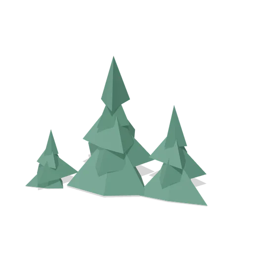 Spruce seedling group (Temperate Forest Ecology)