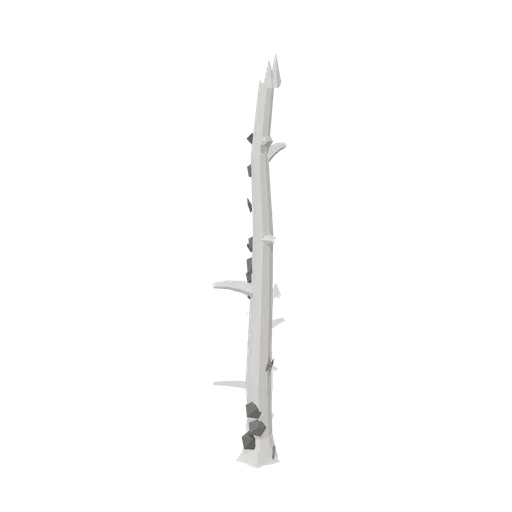 Standing birch snag (Temperate Forest Ecology)
