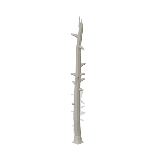 Standing spruce snag (Temperate Forest Ecology)