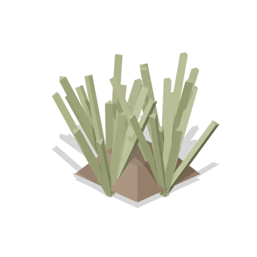 Tussock Grass Clump (Andean Terraces and Stone Village)