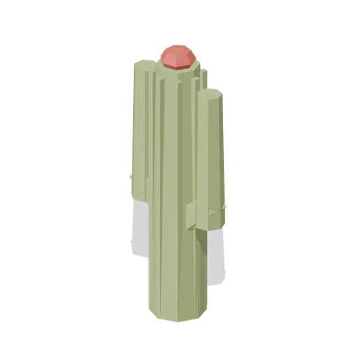 Column Cactus (Andean Terraces and Stone Village)
