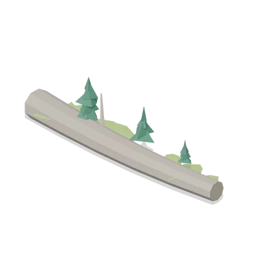 Nurse log with seedlings (Temperate Forest Ecology)