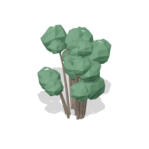 Wind-shaped hawthorn (Temperate Forest Ecology)