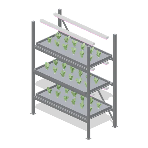 Three tier grow rack bay, planted with pak choi (Vertical Farm and Hydroponics Tower)
