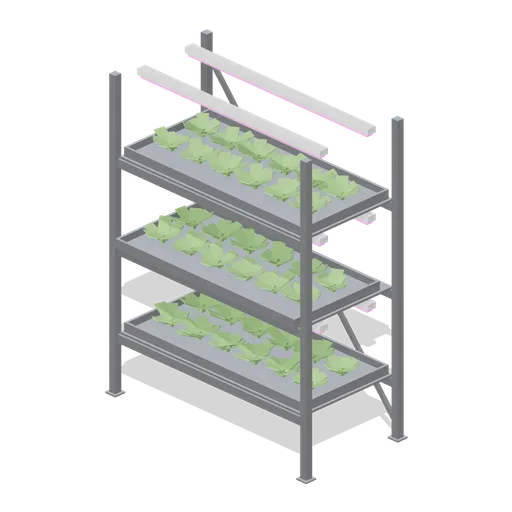 Three tier grow rack bay, planted with lettuce (Vertical Farm and Hydroponics Tower)