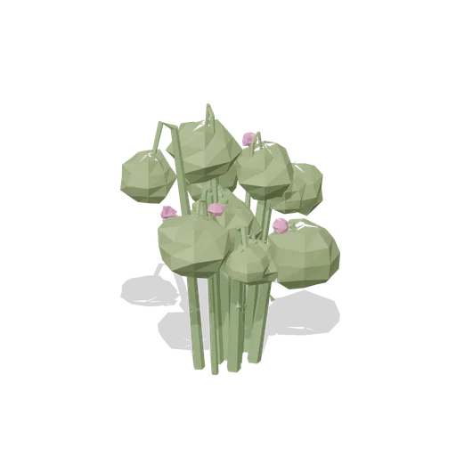 Dog rose shrub (Temperate Forest Ecology)