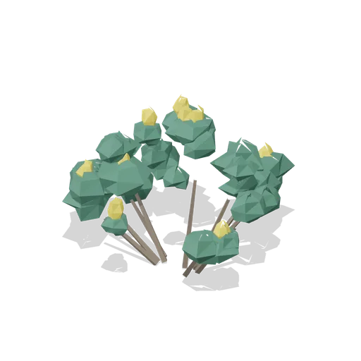 Gorse bush (Temperate Forest Ecology)