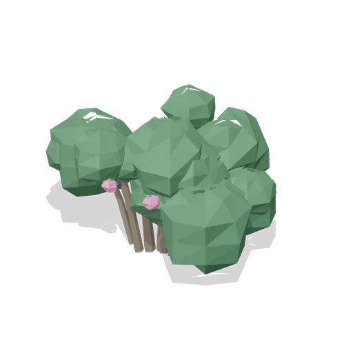Rhododendron clump (Temperate Forest Ecology)