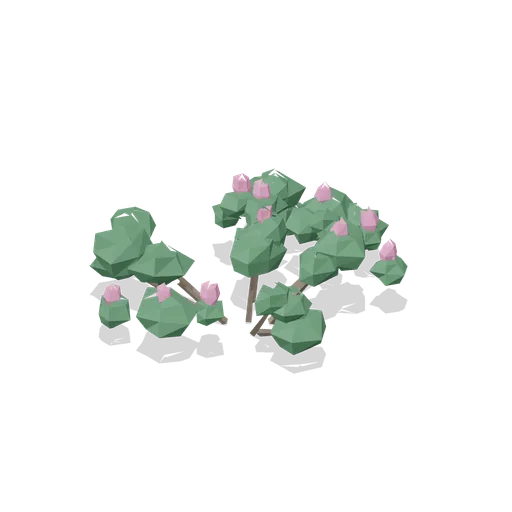 Heather clump (Temperate Forest Ecology)