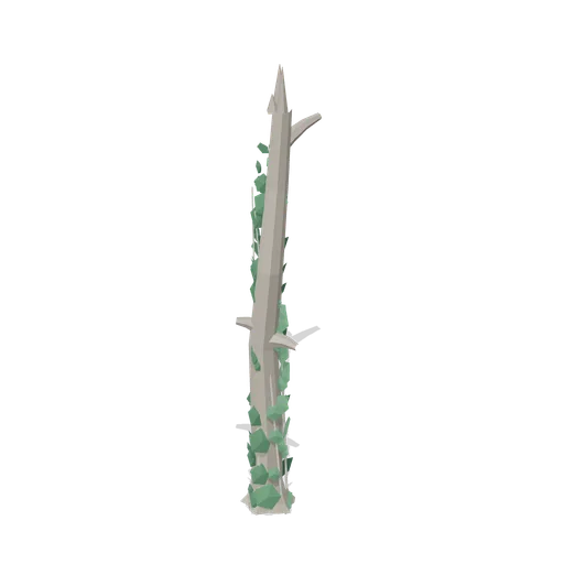 Ivy-clad standing stem (Temperate Forest Ecology)