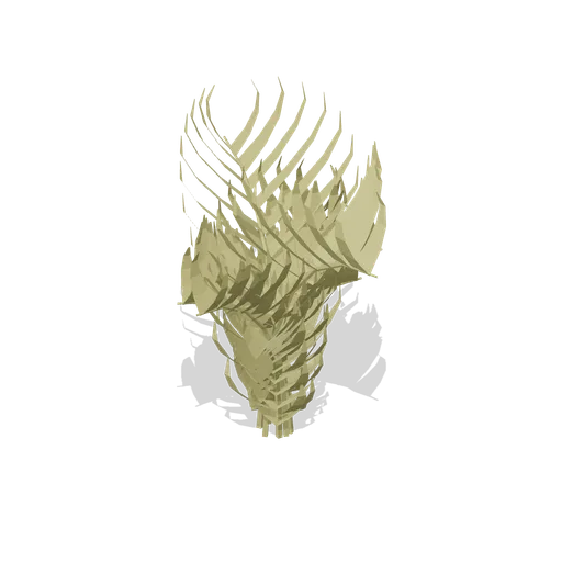 Bracken clump (Temperate Forest Ecology)