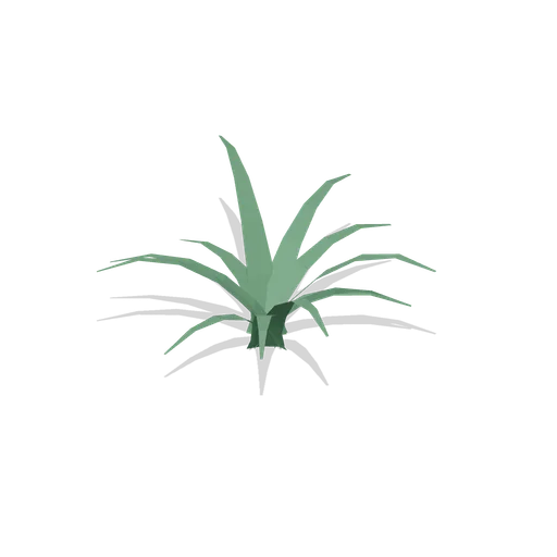 Hart's tongue fern clump (Temperate Forest Ecology)