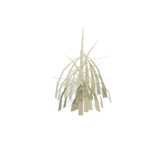 Dry grass tussock (Temperate Forest Ecology)