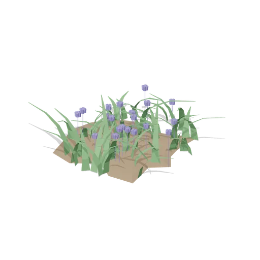 Bluebell carpet (Temperate Forest Ecology)