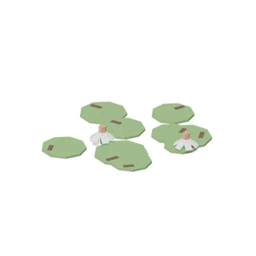 Water lily pad cluster (Botanical Glasshouse and Palm House)