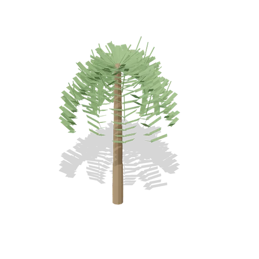 Fan palm, tall specimen, 5.4 m (Botanical Glasshouse and Palm House)