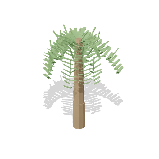 Fan palm, young specimen, 2.3 m (Botanical Glasshouse and Palm House)