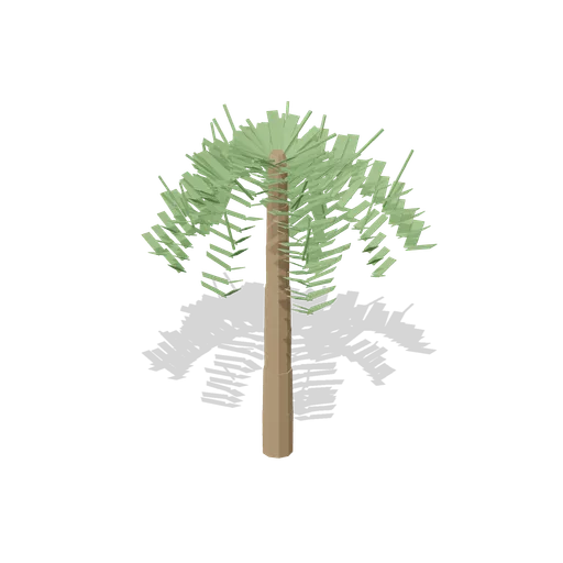 Fan palm, half grown, 3.6 m (Botanical Glasshouse and Palm House)