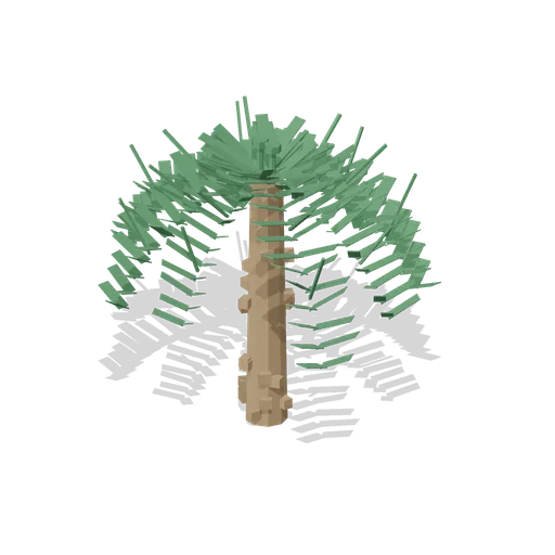 Tree fern, 2.8 m (Botanical Glasshouse and Palm House)