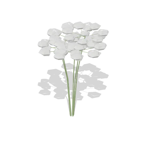 Cow parsley group (Temperate Forest Ecology)