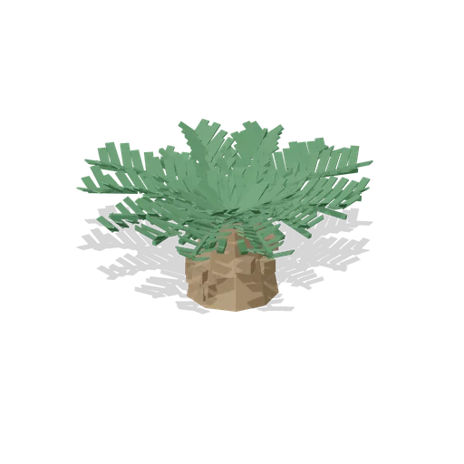 Cycad, 1.3 m (Botanical Glasshouse and Palm House)