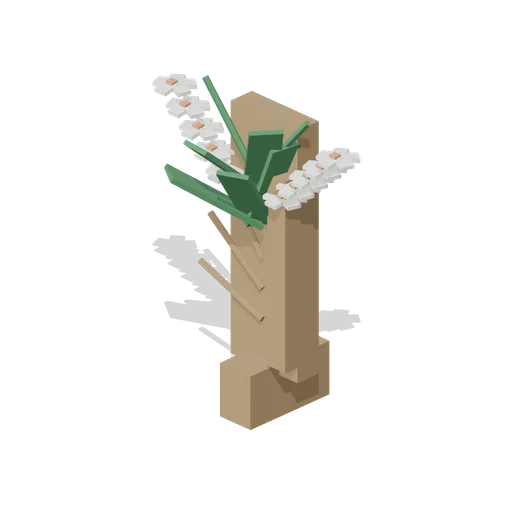 Orchid on a bark mount (Botanical Glasshouse and Palm House)